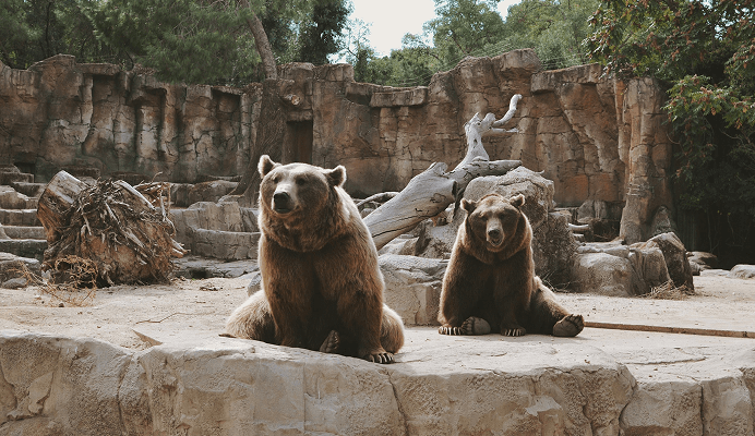 Shimla & Manali, Himachal Pradesh